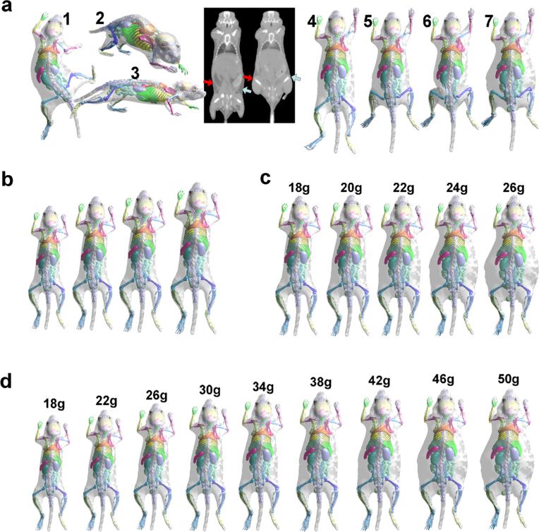 Fig. 4