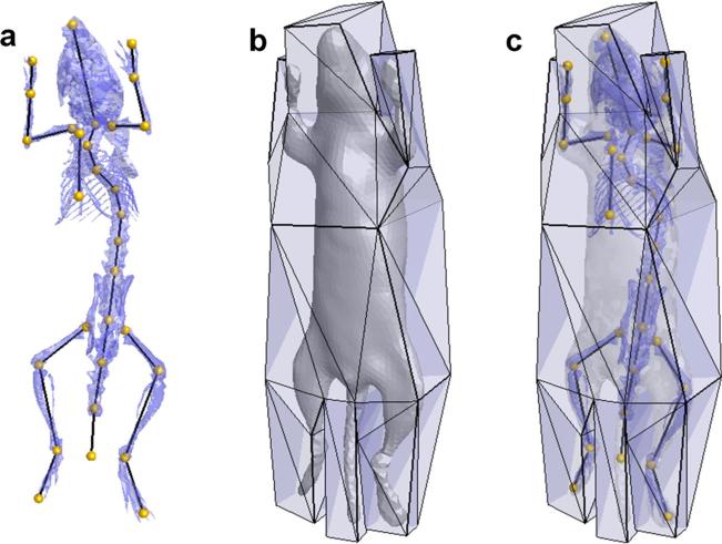 Fig. 2