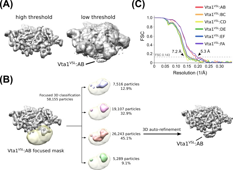 Figure 2—figure supplement 6.