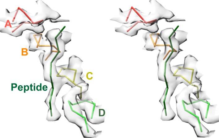 Figure 6.