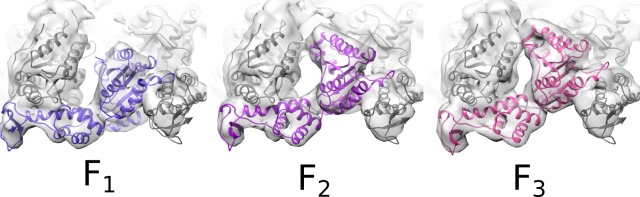 Figure 2—figure supplement 8.