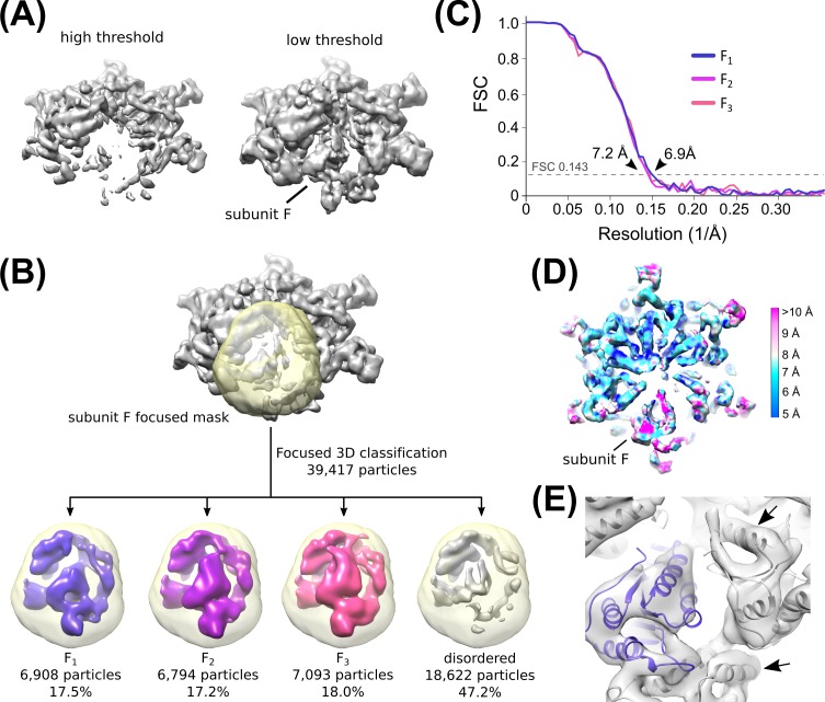 Figure 2—figure supplement 7.