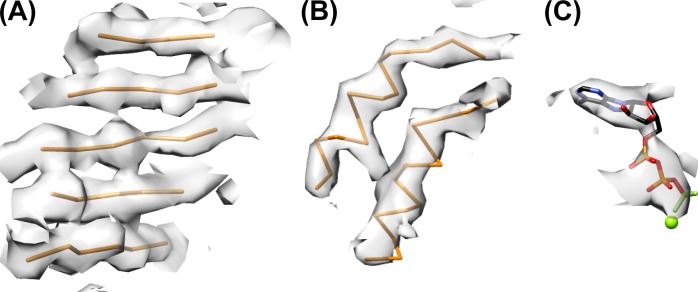 Figure 2—figure supplement 5.