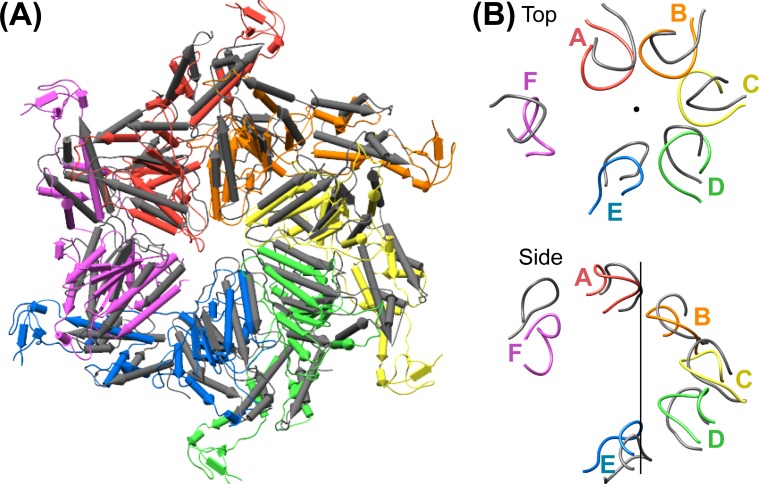 Figure 7—figure supplement 2.