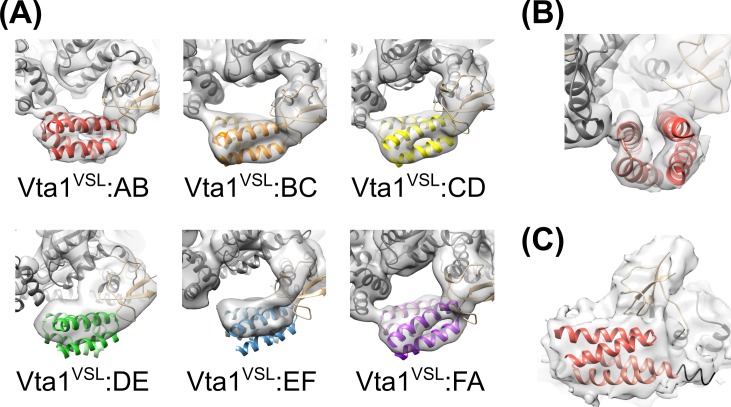 Figure 4—figure supplement 1.