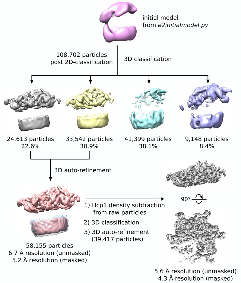 Figure 2—figure supplement 2.