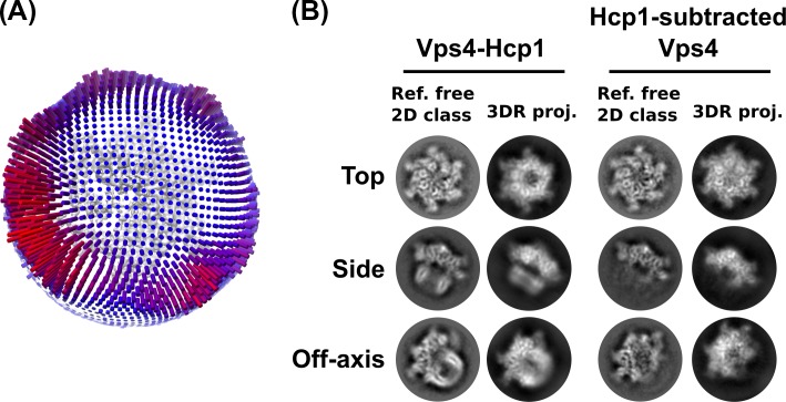 Figure 2—figure supplement 3.