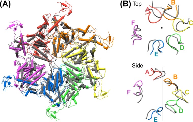 Figure 7—figure supplement 1.