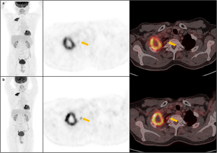 Fig. 4