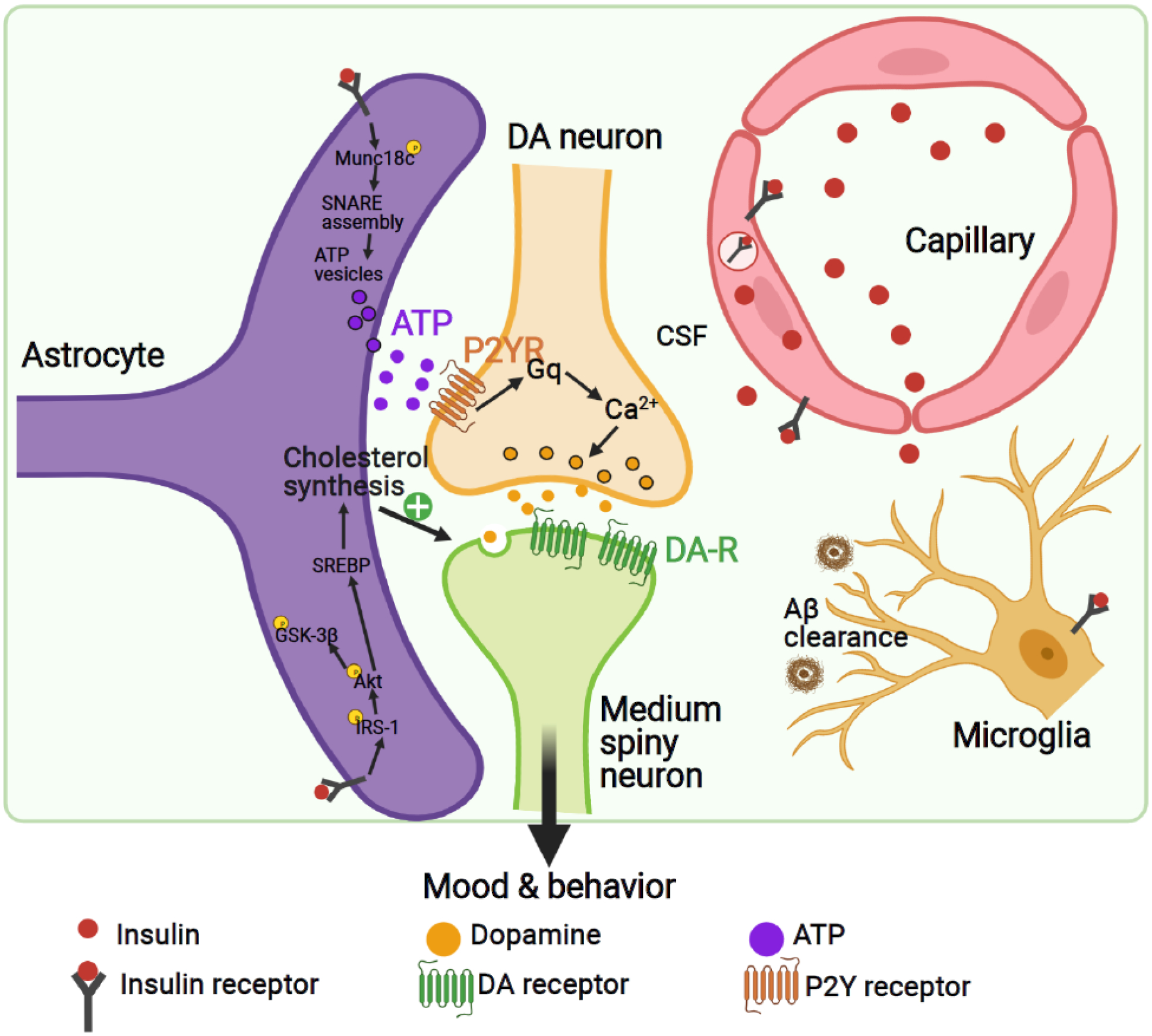 Figure 3.