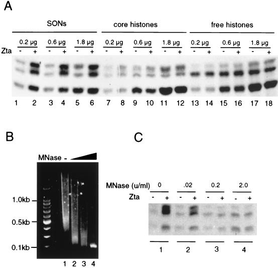 FIG. 6