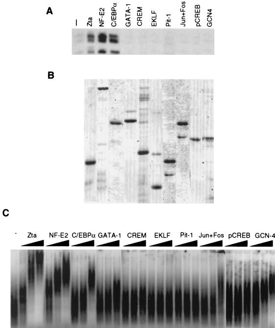 FIG. 8