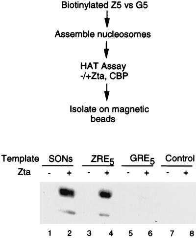 FIG. 7