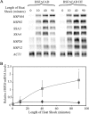 FIG. 7.