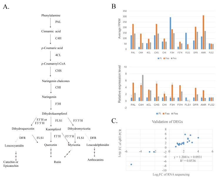 Fig 6