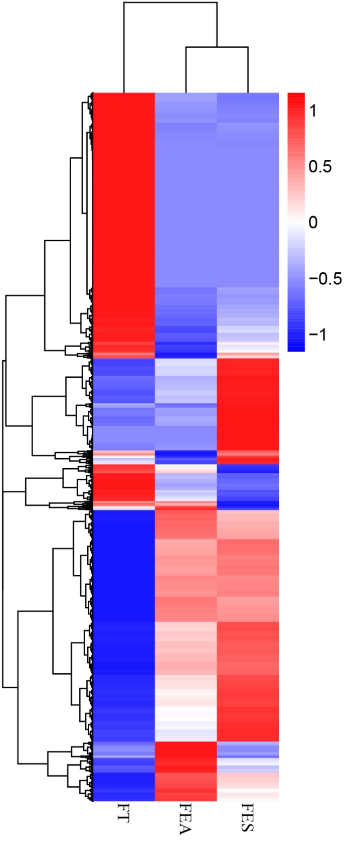 Fig 5