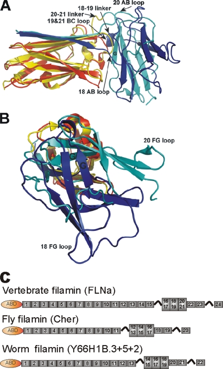 FIGURE 7.