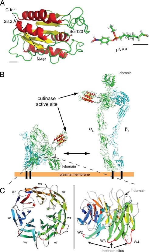 Fig. 1.