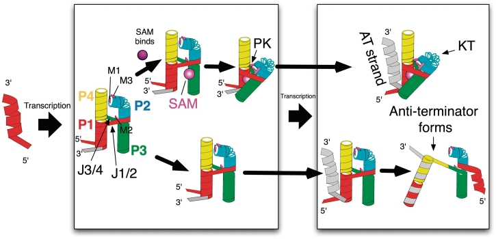 Figure 7.