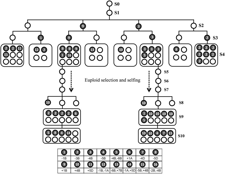 Fig. 4.