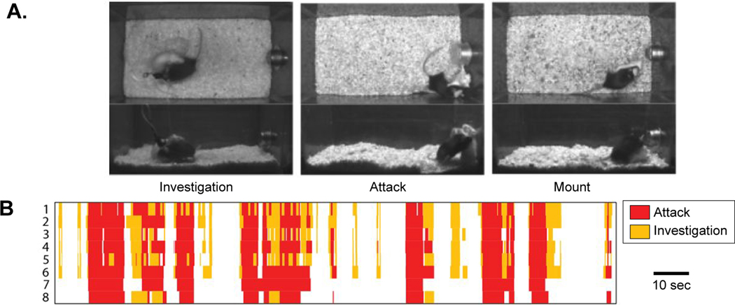 Figure 2: