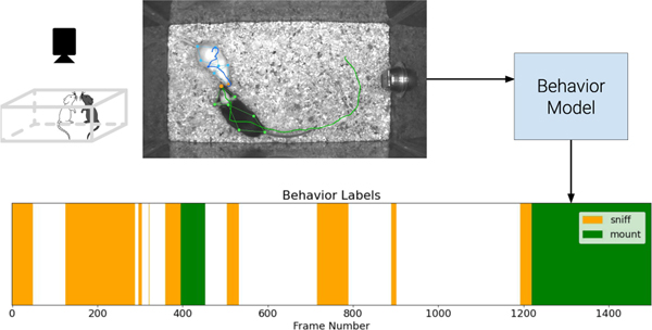 Figure 1: