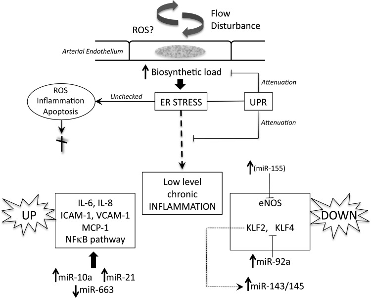 Figure 6