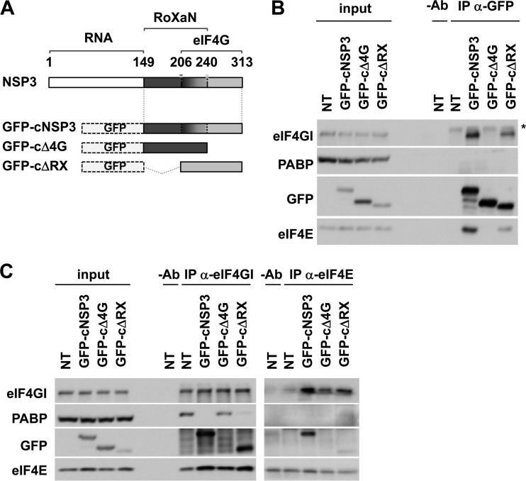 FIG 6