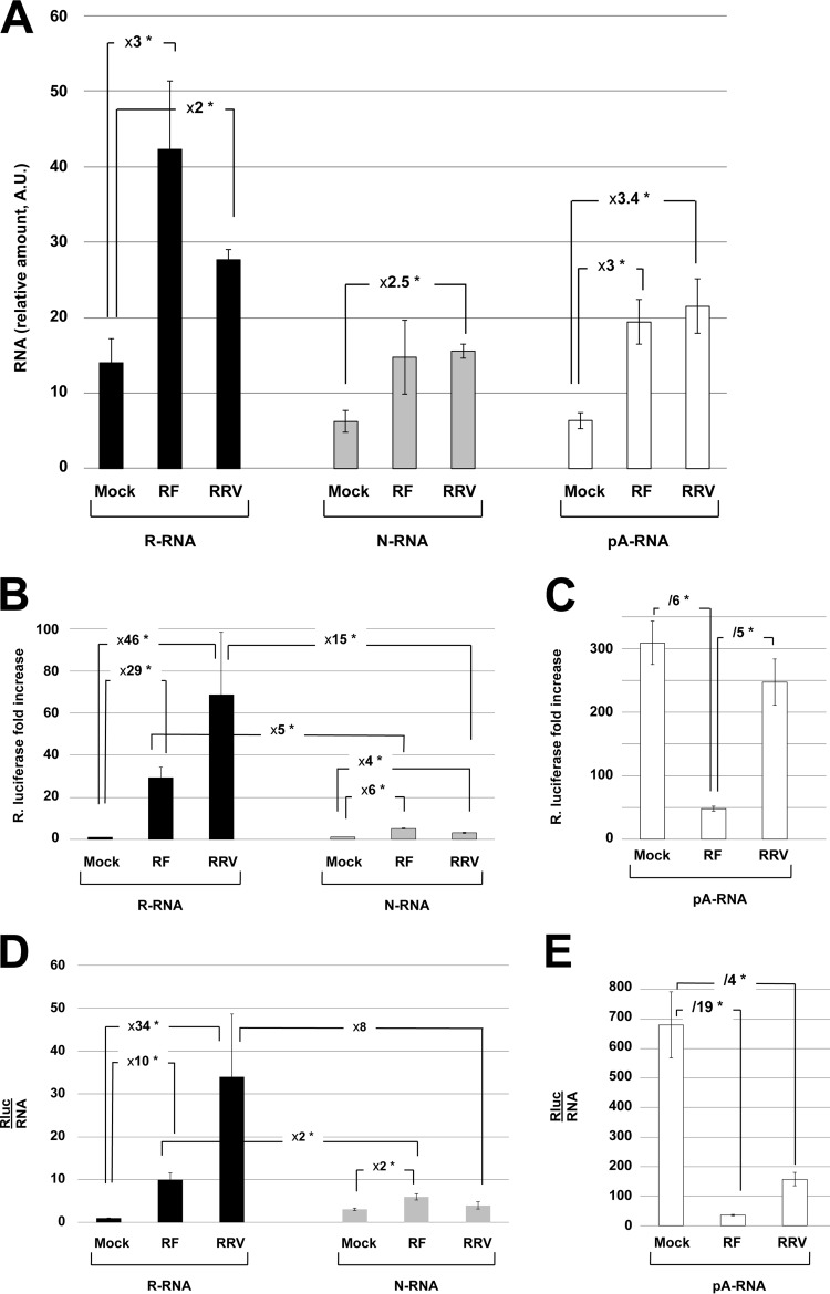 FIG 2