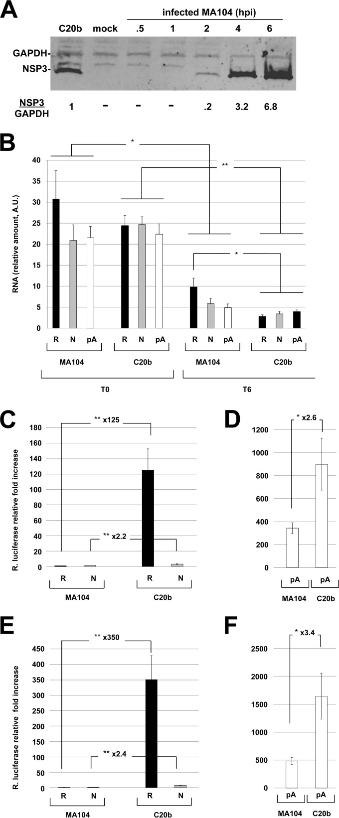 FIG 3