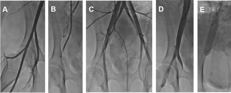 Fig 2