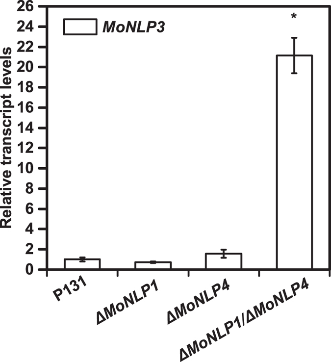 Figure 5