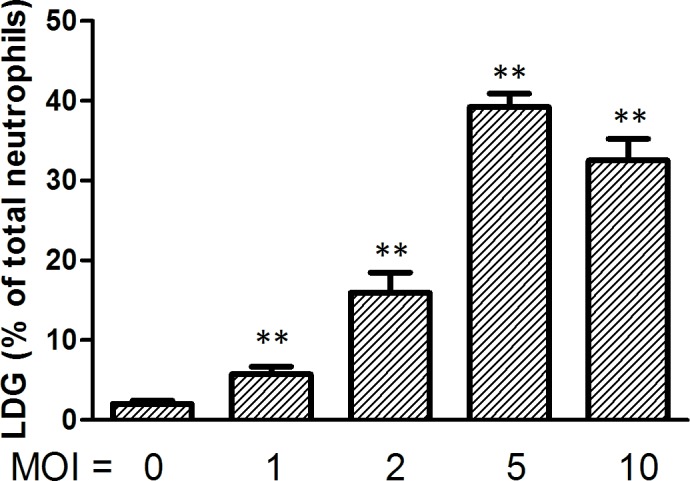 Fig 6