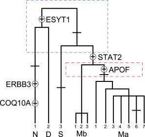 Figure 2