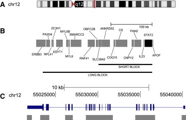 Figure 1