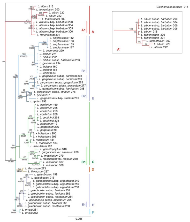 Figure 5