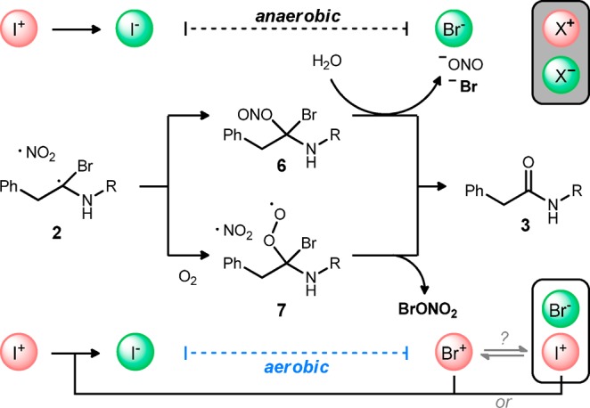 Scheme 2