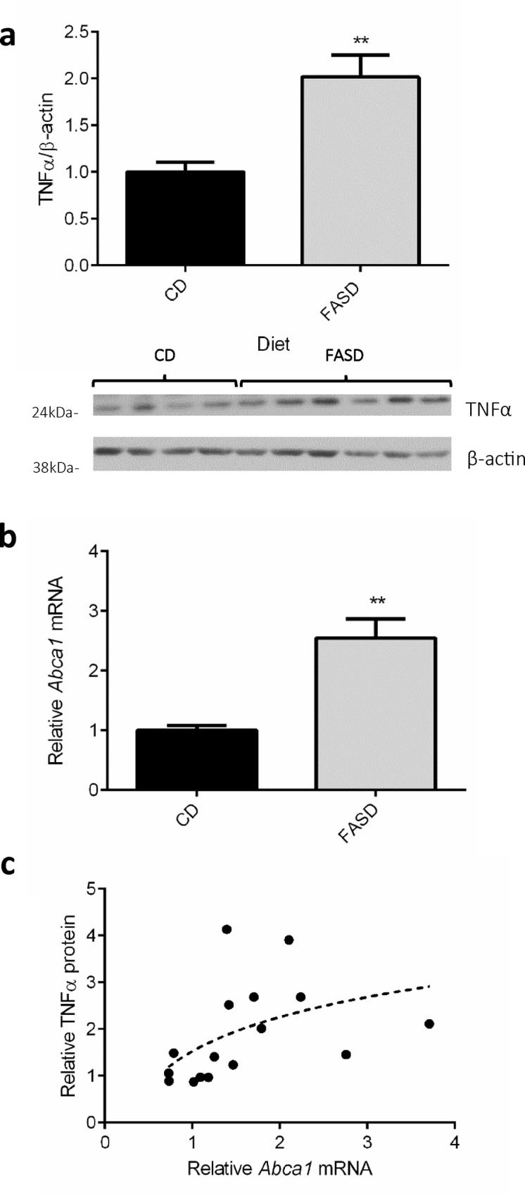 Fig 5