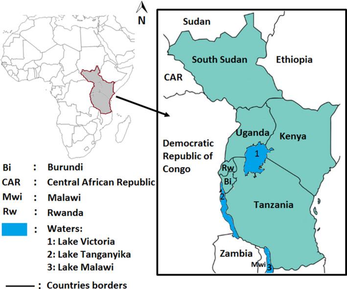 FIGURE 1