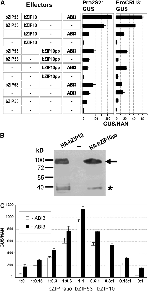 Figure 6.