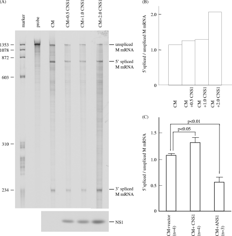 FIG. 9.