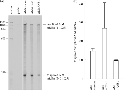 FIG. 10.