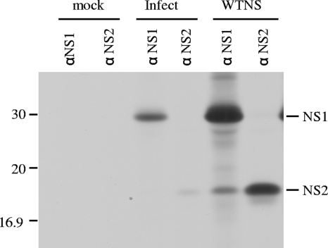 FIG. 6.