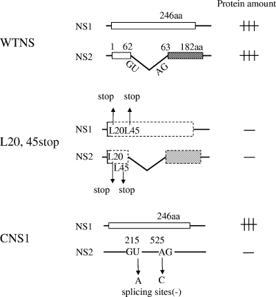 FIG. 5.