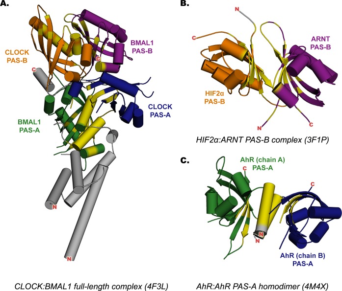 Fig 1