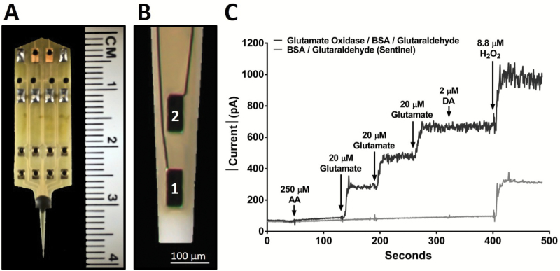 Figure 1.