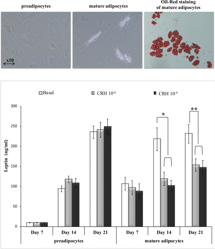 Fig. (1)