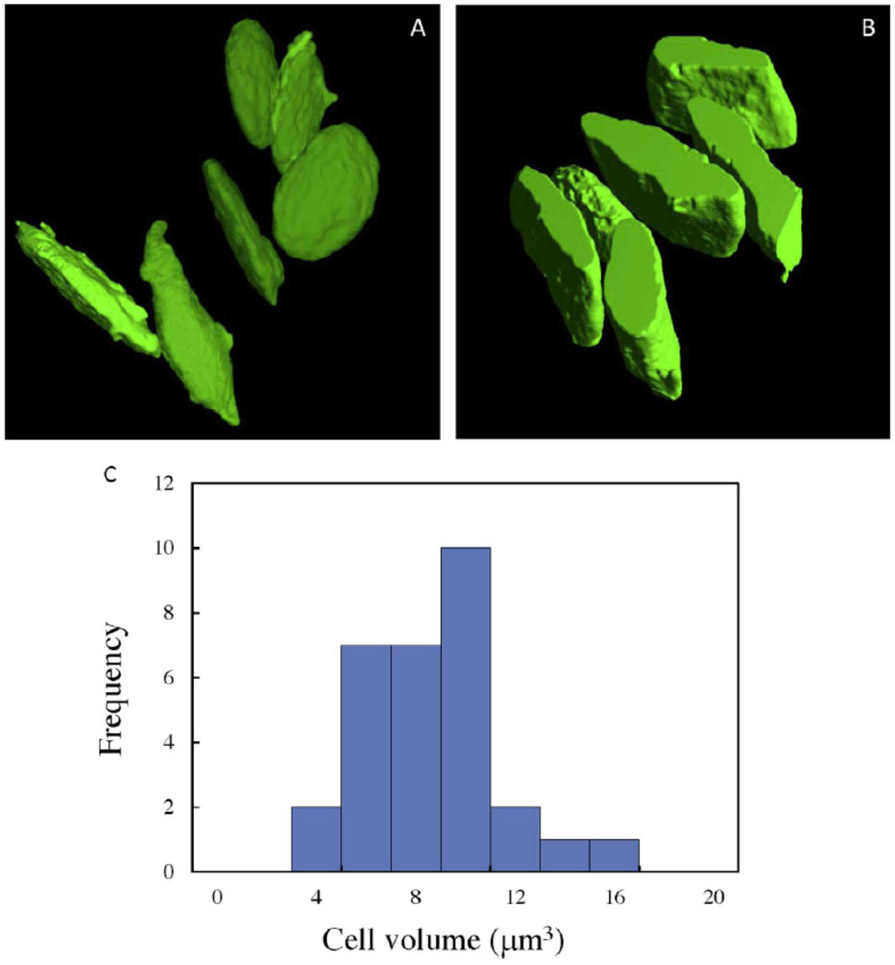 Figure 4.