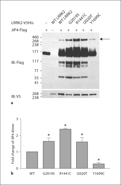 Fig. 5