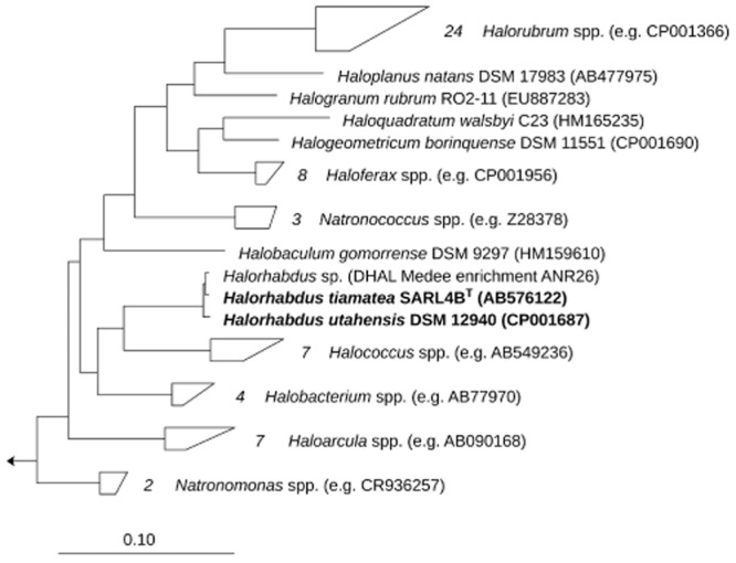 Fig 1